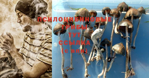 индика Инсар