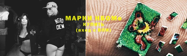 индика Инсар