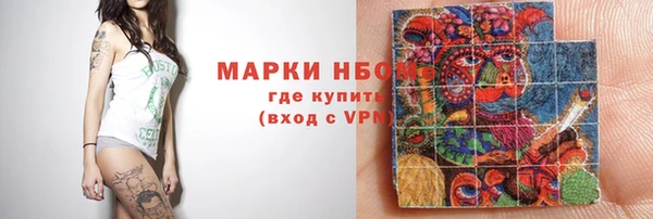 стафф Иннополис