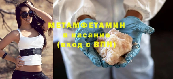 индика Инсар
