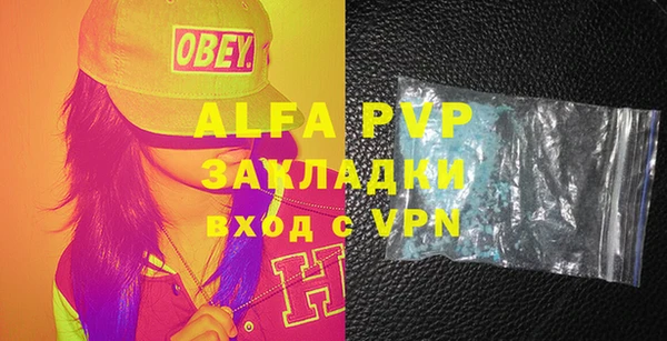 индика Инсар