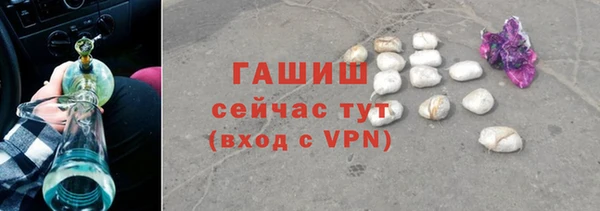 индика Инсар