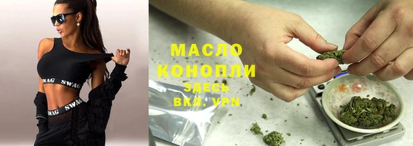 индика Инсар