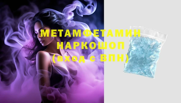 индика Инсар