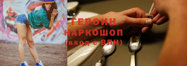 индика Инсар