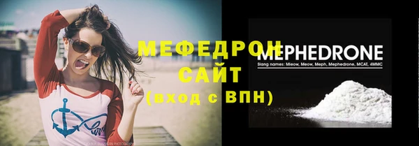 индика Инсар