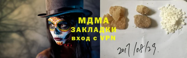 индика Инсар
