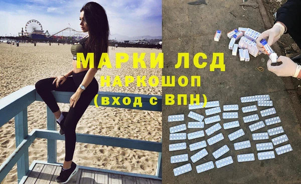 индика Инсар