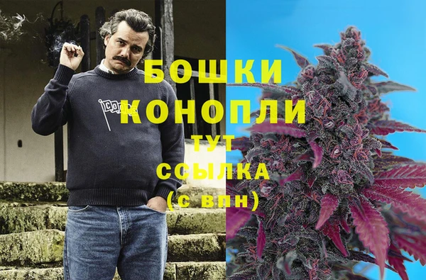 стафф Иннополис