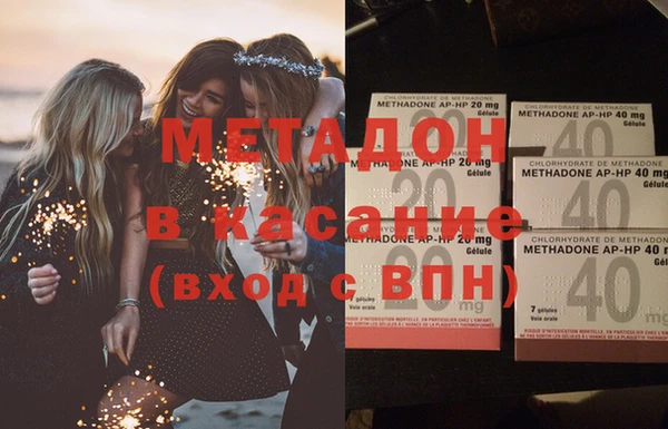 индика Инсар