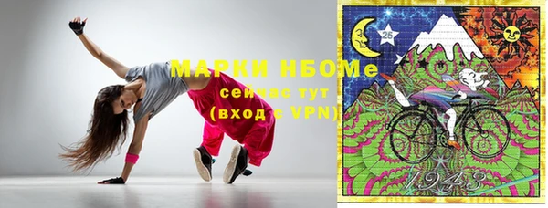 стафф Иннополис