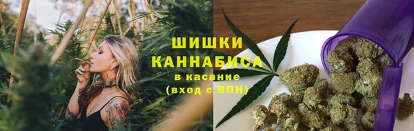 индика Инсар