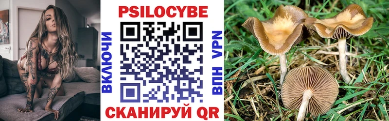 Купить где  Снежинск  Псилоцибиновые грибы GOLDEN TEACHER 
